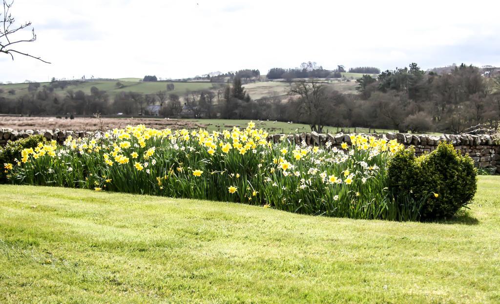 Yellow House West Woodburn ภายนอก รูปภาพ